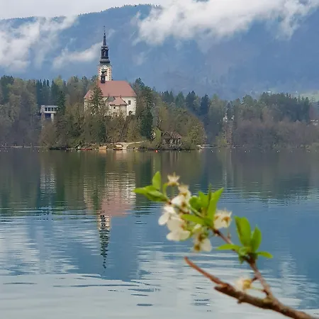 Gh Kolinska -adults Only- Bled