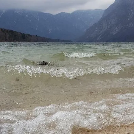 Gh Kolinska (adults Only)