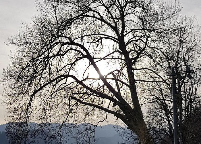 Hotel Gh Kolinska Bled